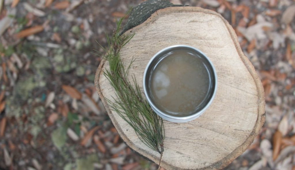 how to make tea while hiking forest pine tea