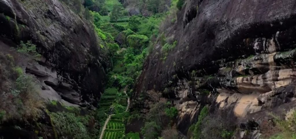 tea at high altitude first steep cover