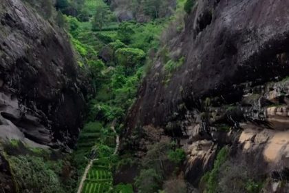 tea at high altitude first steep cover