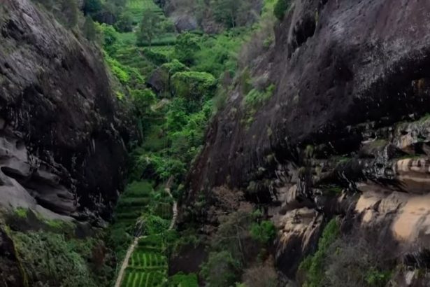 tea at high altitude first steep cover